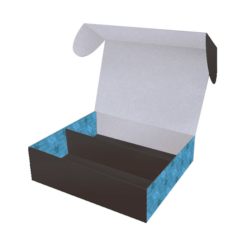 Collezione Pokemon Center Set - Mega Expansion Pack - Mega Brave - m1L - JAP