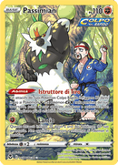 Passimian TG08/TG30 Trainer Gallery - ITA - Near Mint - Spada e Scudo - Tempesta Argentata - Carta Pokemon