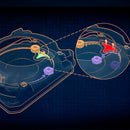 Sneak Arena Battle Set - Cutter Shinobi LF vs Rampart Aegis GB - UX - G1940 - BEYBLADE X con arena e Lanciatori