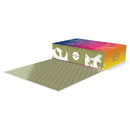 Ultra Premium Collection - Charizard - Sword and Shield - ENG